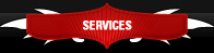 Services - Website Designing Domain name registration Hosting